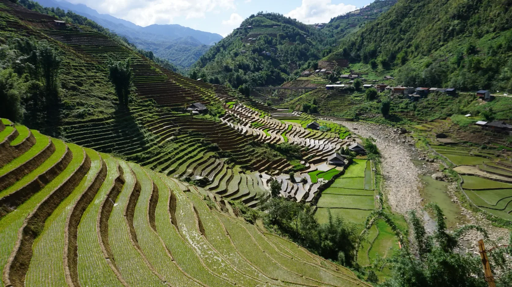 Reisterrassen ziehen sich ein Bergtal bei Sapa hinunter.